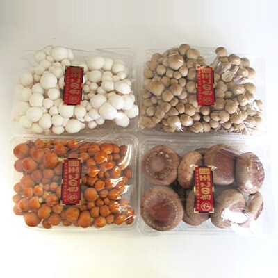 北海道きのこ王国 きのこ4種 盛り合わせ(計1.6kg)