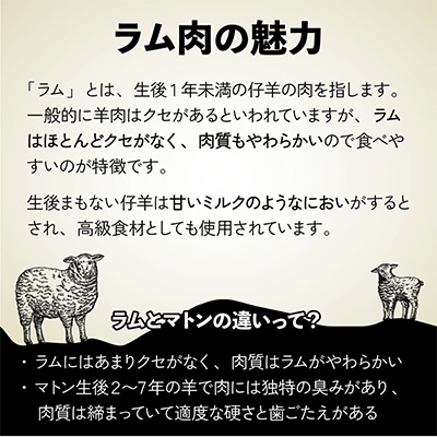 肉のあさひ特製ジンギスカン700g以上×各3種(ショルダー・ロース・ステーキ)