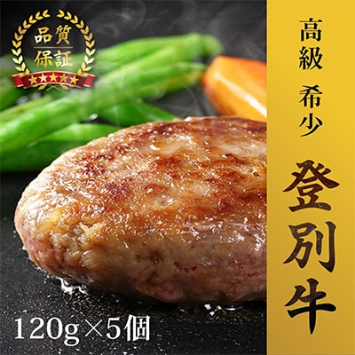登別牛ハンバーグ120g×5個