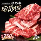 登別産国産牛ブランド【登別牧場ゆの牛(うし)】手切りカルビスライス　750g(250g×3P)