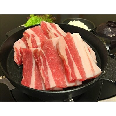 特撰黒毛和牛・黒豚のランチお食事券(1名様分)