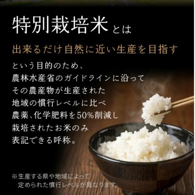 ふるさと納税】京都府木津川市 ヒノヒカリ 6.4kg | 京都府木津川