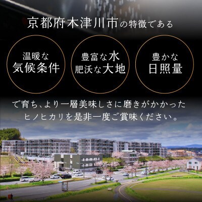 【ふるさと納税】京都府木津川市 ヒノヒカリ 20kg(10kg × 2袋)