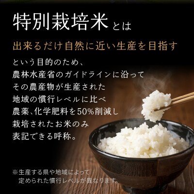 【ふるさと納税】京都府木津川市産　玄米(胚芽精米)ヒノヒカリ　15kg(5kg×3袋)