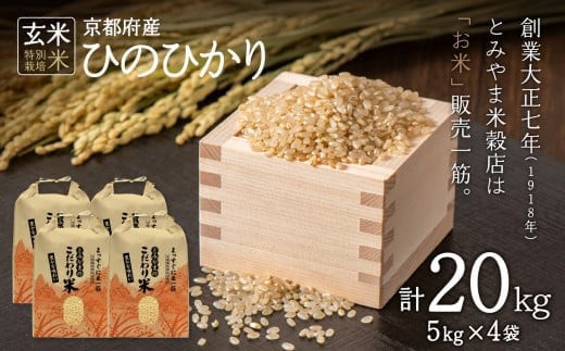 特別栽培米 京都府木津川市産ひのひかり 玄米20kg(5kg×4) 毎日の健康に