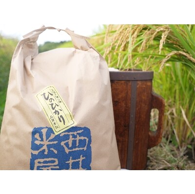 【京都山城産】とれたてヒノヒカリ(10kg)送ります