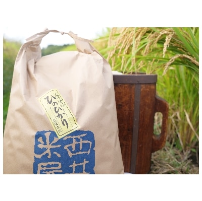 【京都山城産】とれたてヒノヒカリ(20kg)送ります