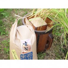 【京都山城産】とれたてヒノヒカリ(玄米　20kg)送ります | ふるさと納税のお礼品