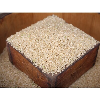 【京都山城産】とれたてヒノヒカリ(玄米　5kg)送ります