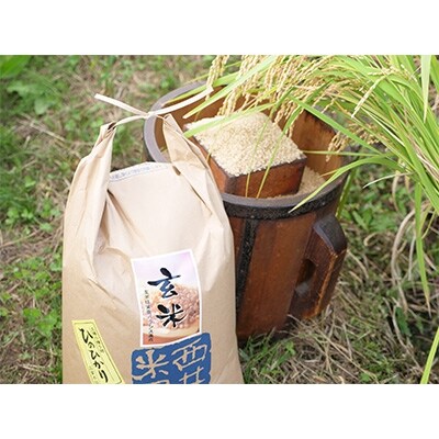 2022年11月発送開始『定期便』【京都山城産】とれたてヒノヒカリ(玄米5kg)全3回