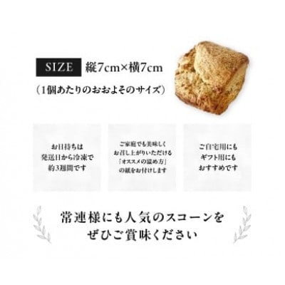 全粒粉スコーンプレーン6個入り