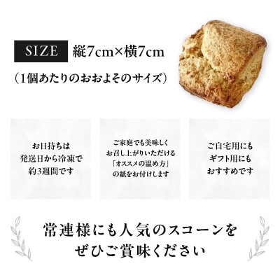 全粒粉スコーンプレーン12個入り