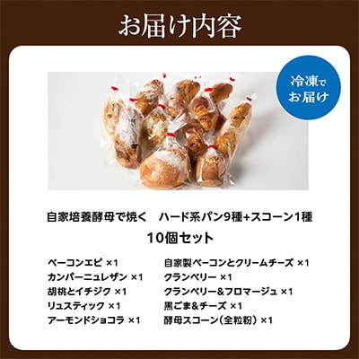 自家培養酵母で焼くハード系パン9種+スコーン1種セット!