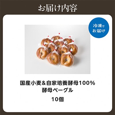 国産小麦&自家培養発酵種100%　酵母ベーグル10個セット