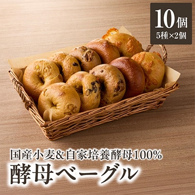 国産小麦&自家培養発酵種100%　酵母ベーグル5種×2個　計10個セット
