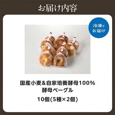 国産小麦&自家培養発酵種100%　酵母ベーグル5種×2個　計10個セット