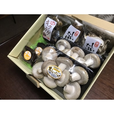 【京都産】しいたけ・キクラゲの詰め合わせ