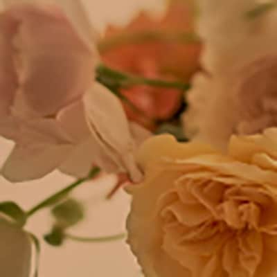 【京都産　京織物　壁紙】京都いづみ　Miyabi-雅-(5306)
