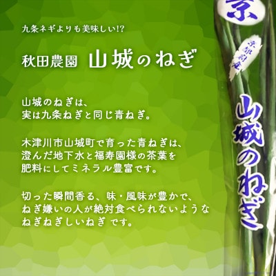 京都山城のねぎで作った　ねぎジャム 100g