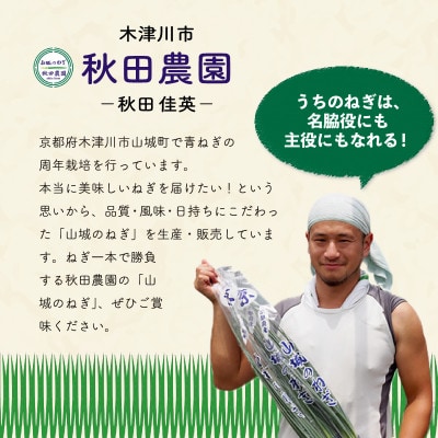 京都山城のねぎ(九条ねぎ) ねぎに恋するコロッケ 60g×10個入り