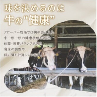 くろーばーよーぐると6個セット