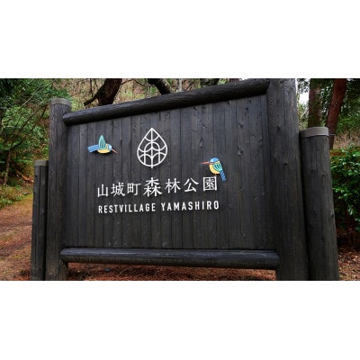【京都府木津川市　山城森林公園】デイキャンプ1日体験券+薪セット
