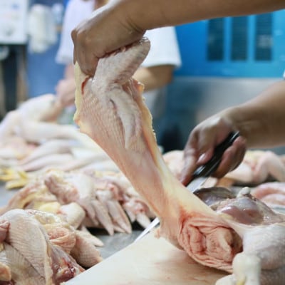 【ふるさと納税・令和5年12月発送】クリスマスチキン★約6人前 鳥肉専門店の国内産鶏肉