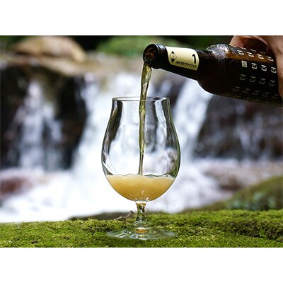 2023年10月発送開始『定期便』【京都 木津川】ことことビール12本セット【クラフトビール】全3回