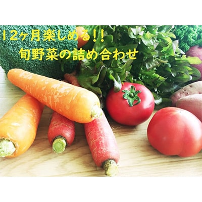 2023年8月発送開始『定期便』京都木津川市産新鮮お野菜1年定期便全12回