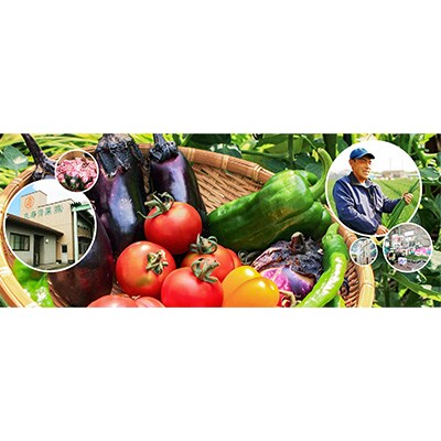 2023年8月発送開始『定期便』京都木津川市産新鮮お野菜1年定期便全12回
