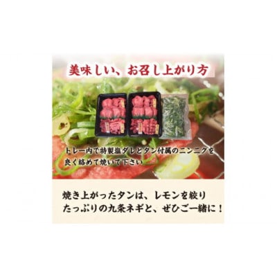 【厚切り芯タン】タン3部位食べ比べセット800g