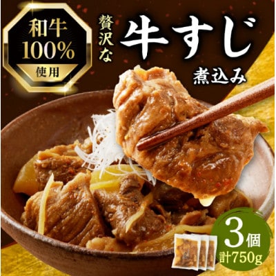 和牛100%の贅沢なすじ煮込み 250g×3個