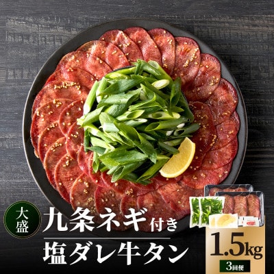【毎月定期便】【大盛九条ネギ】塩ダレ牛タン500g全3回
