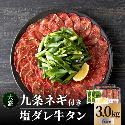 【毎月定期便】【大盛九条ネギ】塩ダレ牛タン500g全6回