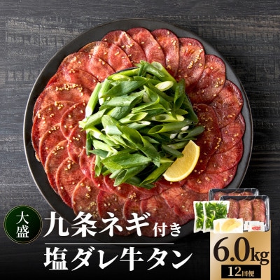 【毎月定期便】【大盛九条ネギ】塩ダレ牛タン500g全12回