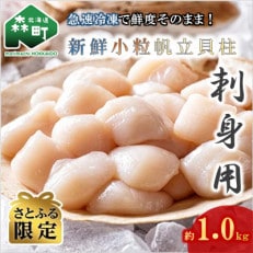 【さとふる限定】刺身用新鮮小粒帆立貝柱(約1.0kg)