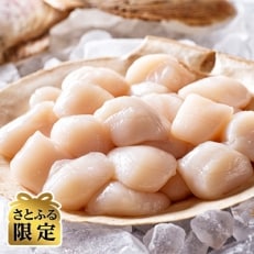 【さとふる限定】刺身用新鮮小粒帆立貝柱(約2.0kg)