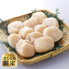 【さとふる限定】刺身用新鮮小粒帆立貝柱【約1.2kg】