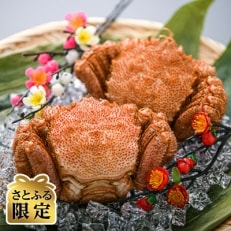 【さとふる限定】[北海道産]浜茹で毛ガニ　約400g前後×2杯 | ふるさと納税のお礼品