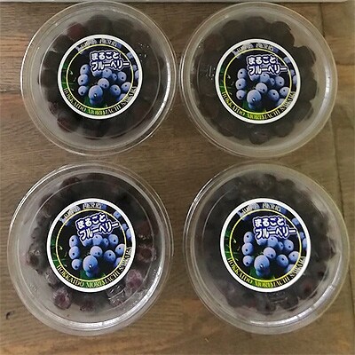 森町の新鮮生ブルーベリー400g(100g×4パック)