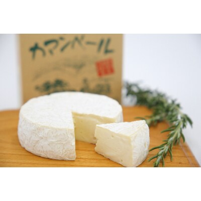 ピカタの森駒ヶ岳牛乳 乳製品詰め合わせ (6種類)Bセット