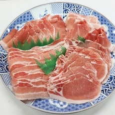 北海道森町産熟成豚肉セット約   お礼品詳細   ふるさと納税なら