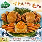 森町水揚げ・ずわいがに毛がに3尾セット