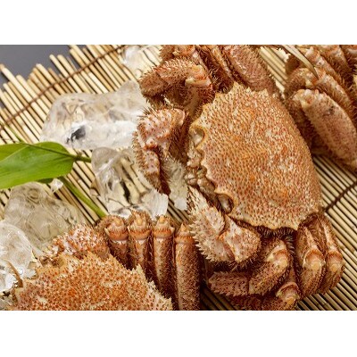 前浜茹で毛がに 600～700g×2尾