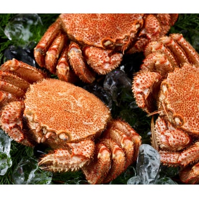 前浜茹で毛がに 約320g～360g×2尾