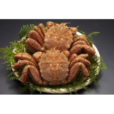 前浜茹で毛がに 約420g～450g×2尾