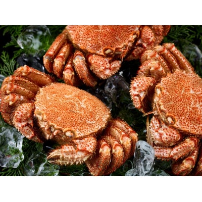 前浜茹で毛がに 約420g～450g×2尾