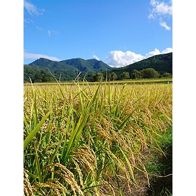 【自家精米　令和4年産】温実米10Kg×2　無洗米ゆめぴりか