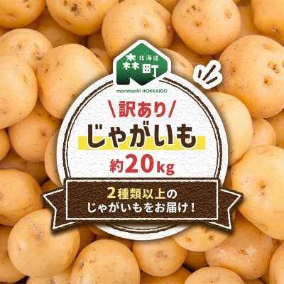 訳ありじゃがいも約20kg