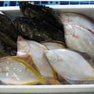 北海道噴火湾産 とれたて鮮魚福袋 約4kg